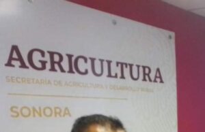 Seris: conflicto en puerta; un trompo a la uña de Adolfo Salazar Razo