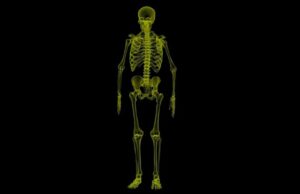 Descubren y describen detalladamente una nueva parte del cuerpo humano