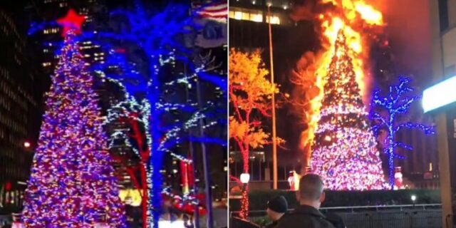arbol/navidad/fox/news/