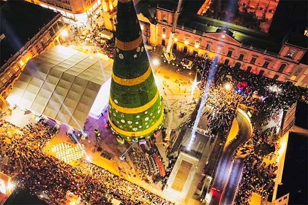 Árbol/navidad/pino/