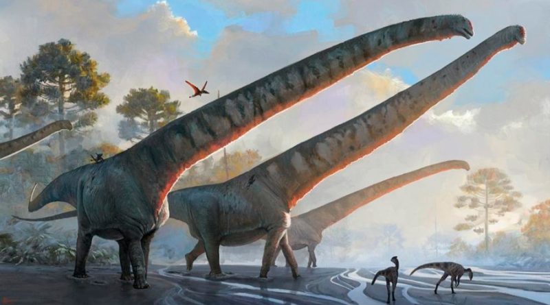 El dinosaurio con el cuello más largo jamás descubierto - Noticias  Vanguardia