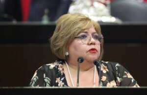 Promueven que la edad mínima para ingresar a educación básica en nivel inicial sea a partir de los 45 días de nacido