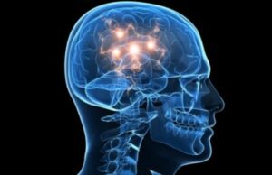 Un análisis revela nuevas luces sobre la biología molecular de la esquizofrenia