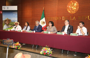 Destacan en el Senado resultados del programa Sembrando Vida