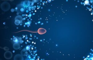 Cómo el maltrato infantil altera el ADN de los espermatozoides y el desarrollo cerebral de los futuros hijos