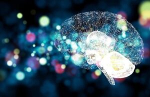¡El Cerebro Puede Hacer Magia! El Secreto de la Manifestación