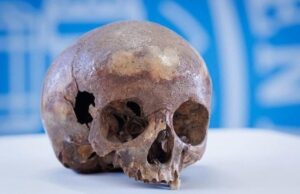 El cráneo del Octágono de Éfeso no es de la hermana de Cleopatra