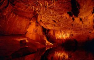 Investigadores chinos descubren fósil de panda gigante en la cueva más larga de Asia