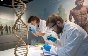 Hallazgo que reescribe la Historia: descubren el evento genético que dio inicio a la humanidad hace 900.000 años