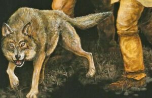 Del lobo al perro: descubre el origen y la domesticación del mejor amigo de la humanidad