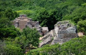 Un estudiante americano descubre por accidente una increíble ciudad maya perdida en el corazón de la jungla de México