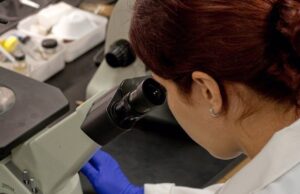 Descubren un nuevo tejido óseo que podría suponer un avance en la medicina regenerativa