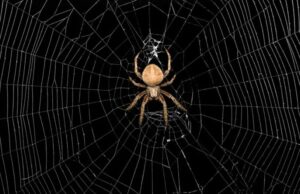 Un laboratorio consigue, por accidente, recrear y disparar la telaraña de Spiderman