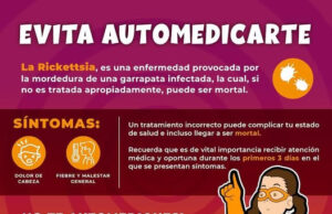Salud Sonora llama a ciudadanía a trabajar en conjunto para prevenir la rickettsiosis