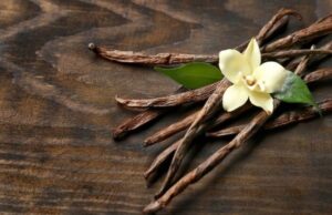 El aroma de la vainilla