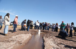 Gobierno de Sonora reactiva tierras al cultivo con obra hidroagrícola en Navojoa