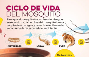 Sonora ocupa el tercer lugar con menos casos de dengue en el país: SSP