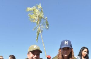 Reconocen gobierno de Toño Astiazarán por arborización e innovación en el cuidado de árboles