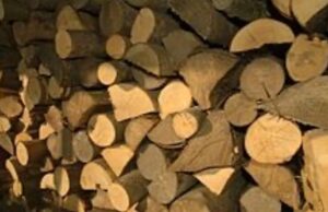 El verdadero tesoro cósmico: La rareza de la madera frente al diamante