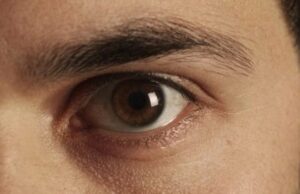 Cambios mínimos en un Gen pueden provocar diferencias en el tamaño de los ojos