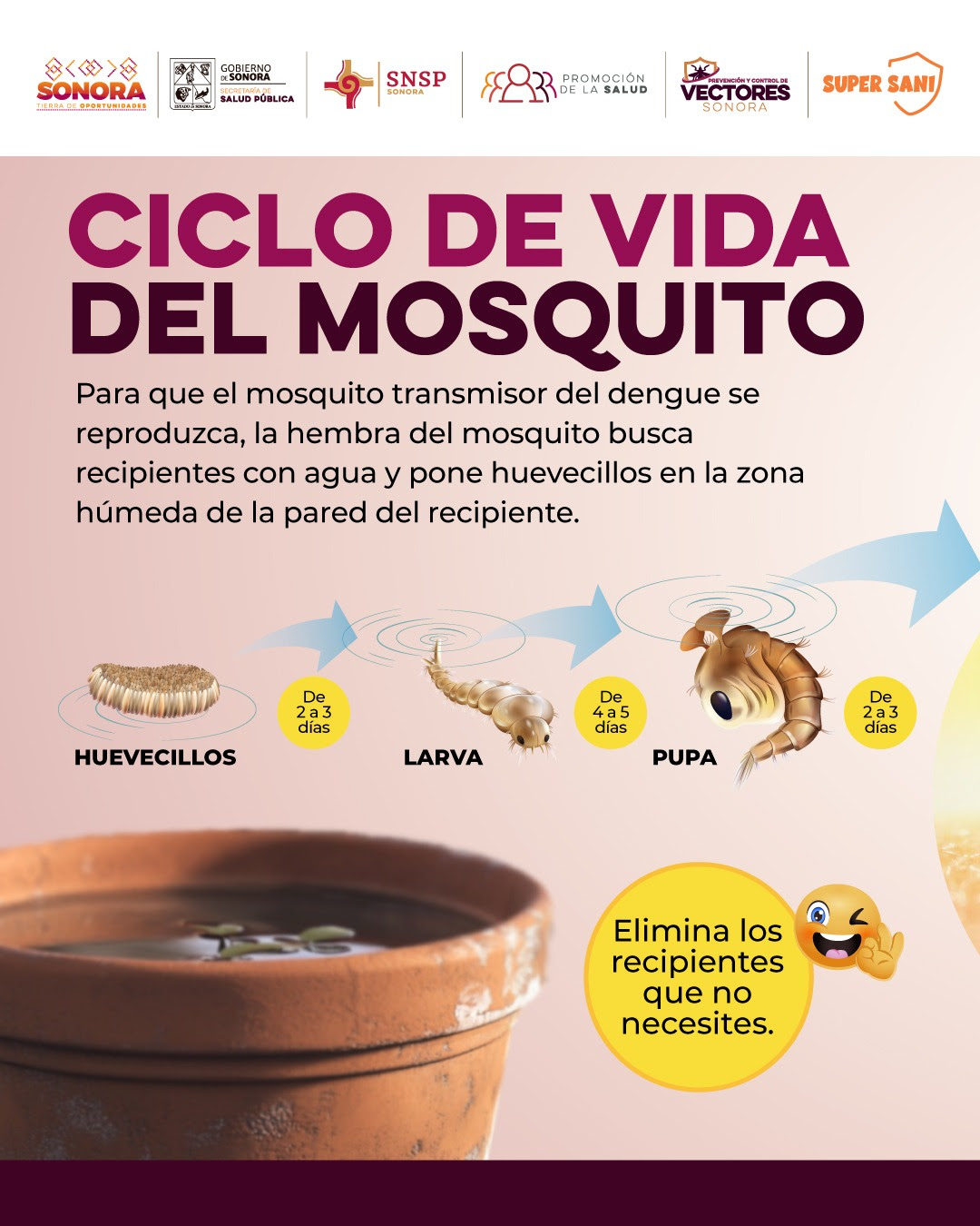Gobierno de Sonora refuerza acciones para prevenir enfermedades ...