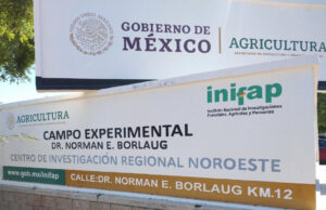 Gobierno de Sonora fortalece formación de profesionales para revolucionar el sector agrícola: UTEtchojoa