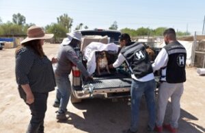 Apoya Protección y Bienestar Animal en el traslado de perros rescatados a albergue que buscan un hogar definitivo