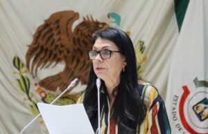 Diputada Ernestina Castro busca establecer en la ley el delito de Violencia Económica Postseparación
