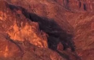 El enigmático puma que aparece dos veces al año en las Montañas Superstition