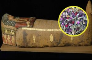 Este es el curioso aroma de las momias egipcias, según un nuevo estudio