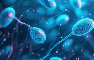 Hombres con semen de mejor calidad viven más, de acuerdo a estudio realizado durante 50 años