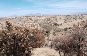 Destruye Gobierno de Sonora 39 puntos de observación en protocolo fronterizo: SSP