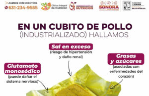 Promueve Gobierno de Sonora sana alimentación a través del Plato del Buen Comer: Secretaría de Salud