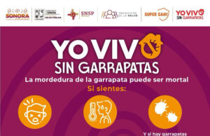 Gobierno de Sonora llama a prevenir la rickettsiosis ante inicio de temporada de calor