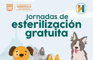 Continúa Ayuntamiento de Hermosillo con esterilizaciones gratuitas de perros y gatos