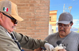 Gobierno de Sonora lleva servicios de salud preventiva a través de clínicas móviles