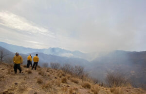 Gobierno de Sonora reforzará el combate al incendio forestal en Bavispe