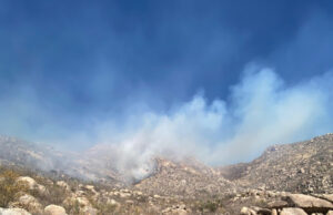 Gobierno de Sonora sofoca incendio forestal en Tubutama