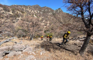 Gobierno de Sonora combate incendio forestal en Arizpe