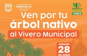 Se donarán árboles nativos el próximo sábado en el Vivero Municipal de Hermosillo