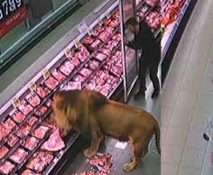 VIDEO: León aparece en supermercado y redes explotan con teorías sobre su origen