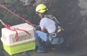 Se viraliza este video del rescate de una perrita arrastrada por el Río tras intensas lluvias