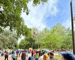 Logra Gobieno de Hermosillo récord en jornada de donación de plantas nativas