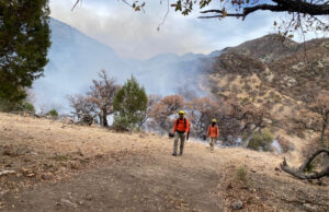 Gobierno de Sonora llama a la población a prevenir los incendios forestales