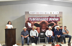Gobierno de Sonora inicia barrido sanitario para detección de tuberculosis bovina en San Ignacio Río Muerto
