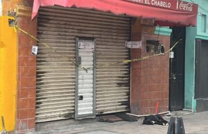 Se viraliza el “Hachiko de Culiacán”; perro permaneció tres días frente a local tras muerte de su dueño