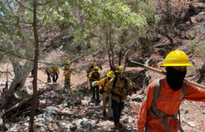 Avanza Gobierno de Sonora en control de incendio forestal en la Sierra Los Ajos
