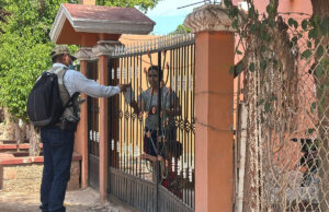 Gobierno de Sonora intensifica acciones territoriales contra la rickettsiosis