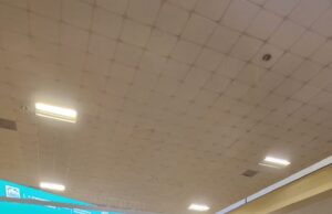 Continúa stand de Tesorería Municipal este domingo 17 en la Feria de Regreso a Clases 2025