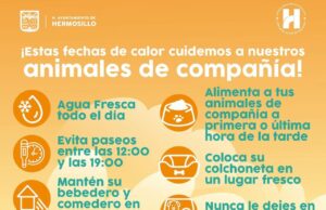 Recomienda IMPBA medidas para proteger a animales de compañía ante el calor